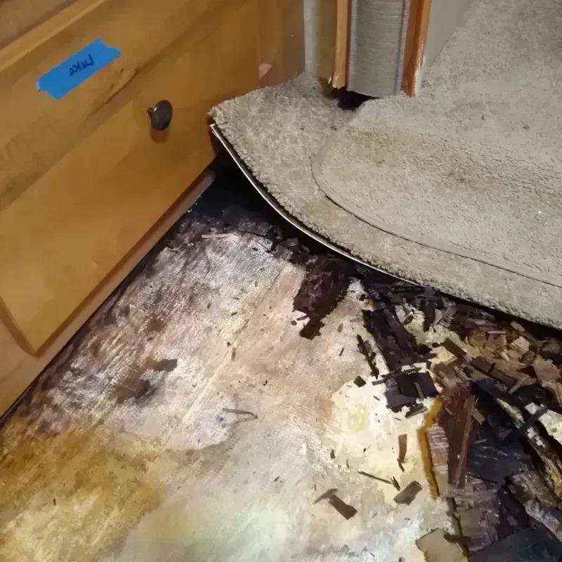 Wood Floor Water Damage in Lucas, TX